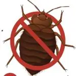 Bed Bug Handbook